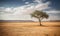 A single tree in the vast desert expanse