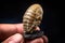 A single trilobite fossil a tiny specimen of the ancient and mysterious past.. AI generation