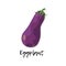 Single vegetable. Eggplant with green leaves
