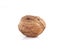 Single walnut