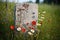 a single, weathered gravestone in a field of wildflowers