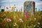 a single, weathered gravestone in a field of wildflowers