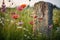 a single, weathered gravestone in a field of wildflowers