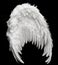 Single White Angelic Wing on Dark Background