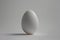 Single White Egg on a Plain Background