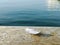 Single white feather on wooden rail with brilliant blue water.