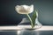 Single white tulip, clear glass vase, minimalist background, generative AI