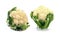 Single whole cauliflower on white background