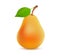 Single whole orange Pear color on white background - Vector realistic illustration of tasty juicy fruit.