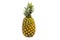 A single whole pineapple isolated on white background. The Ananas comosus is a tropical plant with an edible fruit and the most