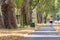 Single woman running along an alley on a grey bike road