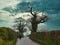 A single woman walker in walking gear on a wet country lane between hedgerows, one recently cut. Taken in Cheshire, UK on a grey,