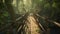 Single wood pathway into shiny nature mangrove forest