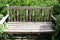 Single Wooden Bench in Foliage