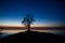 Single wooden silhouette on the shore of a lake at sunset with a red horizon and a green northern lights reflected on it. Blue sky