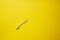Single yellow arrow dart isolated on yellow background