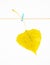 Single yellow Autumn leaf hanging on rope attached with clothes peg