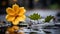 a single yellow flower sits on the ground in the rain