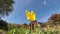 Single yellow flower in summer breeze with majestic red flowers