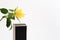 Single yellow rose with part of gift black box on white background. Copy space