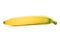 Single yellow spotless banana over white