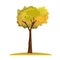 Single yellow tree in autumn season. Fall season tree with solid color style. Vector illustration.