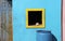 Single Yellow window frame Conch sea shell blue background
