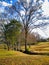 Singular, lonely tree as the focal point in a wide open field in autumn