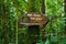 Sinharaja Forest Reserve in Sri Lanka Jungle greens danger