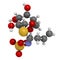 Sinigrin glucosinolate molecule. Present in some cruciferous vegetables (Brussels sprouts, broccoli, black mustard, etc). 3D