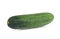 Sinlge whole cucumber isolated on white