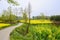 Sinuous countryroad in flowering lands of sunny spring afternoon