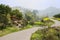 Sinuous countryroad in flowering mountain on sunny spring day