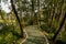 Sinuous countryside path in trees on riverside in sunny winter a