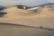 Sinuous Curves on Sand Dunes