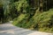 Sinuous mountainside road in shady woods on sunny winter day