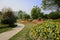 Sinuous path on flowering hillside in sunny summer