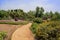 Sinuous path in flowers at sunny summer noon