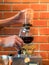 Siphon vacuum coffee maker