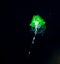 Siphonophore with green protein at night.