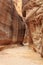 The Siq - ancient canyon in Petra, Jordan