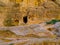 The Siq, scenic canyon serving as an entrance to ancient city Petra, Jordan