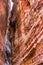 The Siq, wall texture, canyon of Petra, Jordan