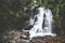 Sirimane Falls in Sringeri, Karnataka, India. Beautiful flowy milky waterfall.