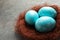 Sisal nest with painted Easter eggs on color background, closeup.