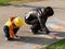 Sisters draw on asphalt