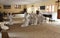 Sisters of Missionaries of Charity in prayer in the chapel of the Mother House, Kolkata