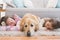 Sisters napping on rug with golden retriever