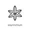 Sisyrinchium icon. Trendy modern flat linear vector Sisyrinchium icon on white background from thin line nature collection