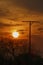 Sit pole for birds of prey in the sundown with silhouette of trees